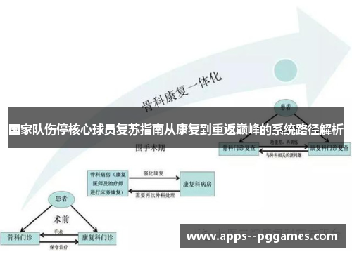 国家队伤停核心球员复苏指南从康复到重返巅峰的系统路径解析
