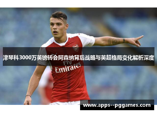 津琴科3000万英镑转会阿森纳背后战略与英超格局变化解析深度